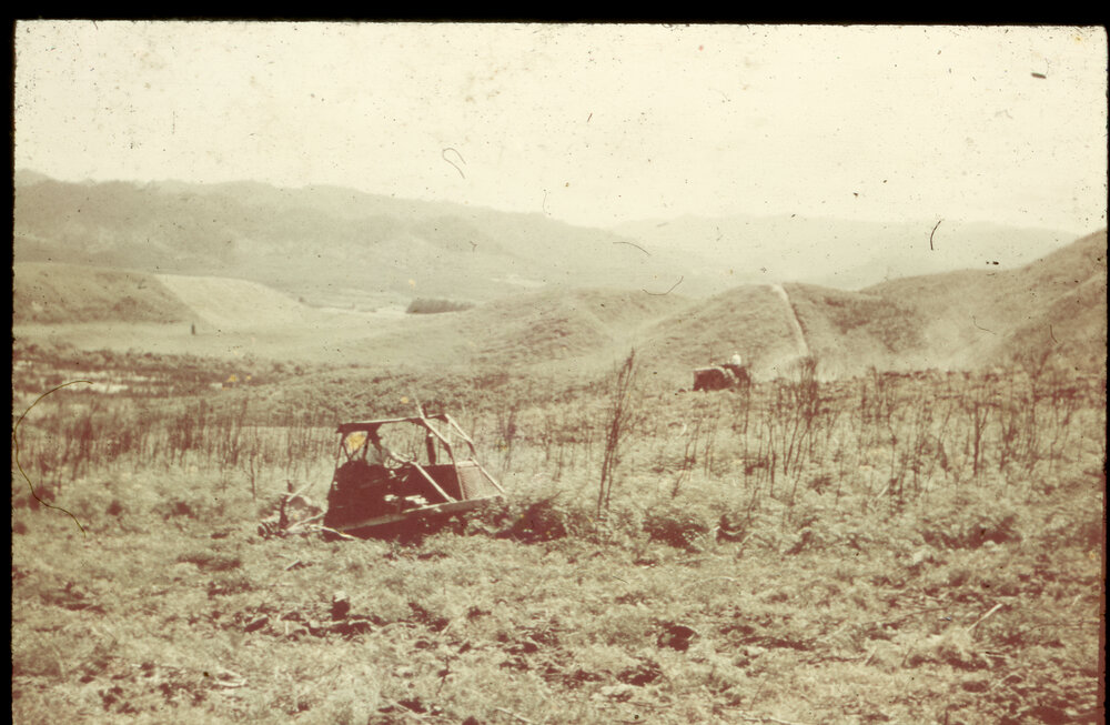 Land Development for the Māori Boys Farm