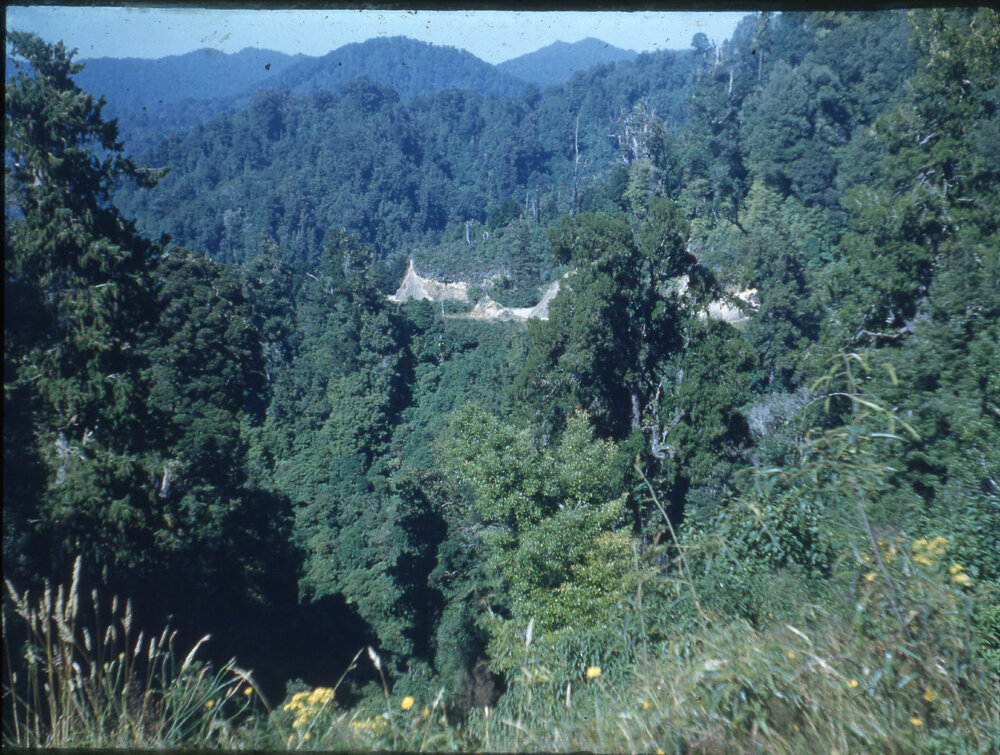 Scenic View of Ruatāhuna 