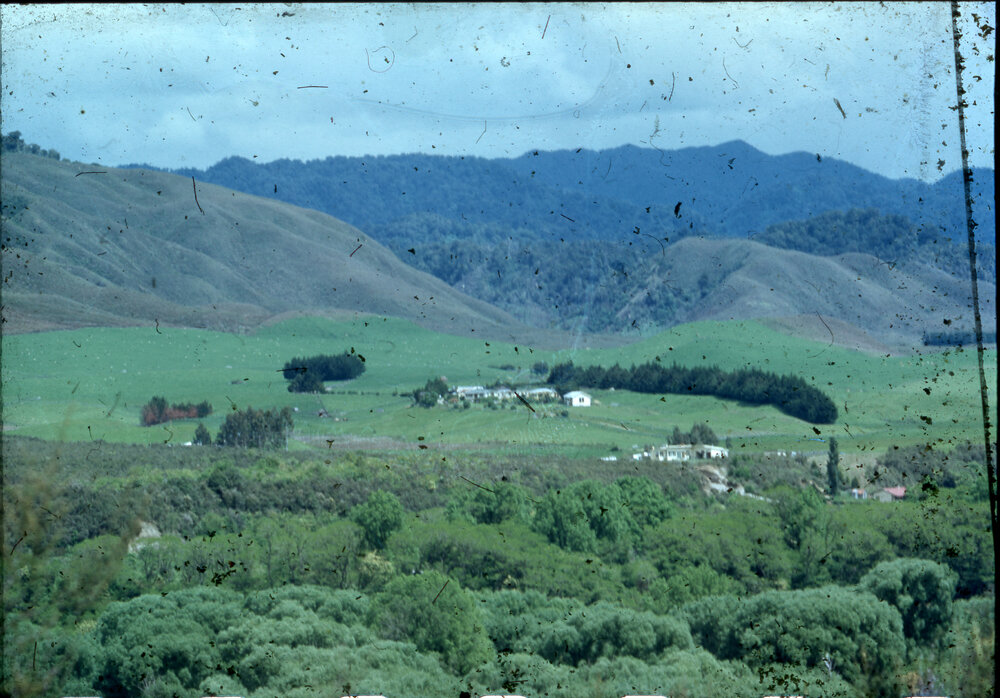 Te Whaiti Māori Training Farm School - Scenic View