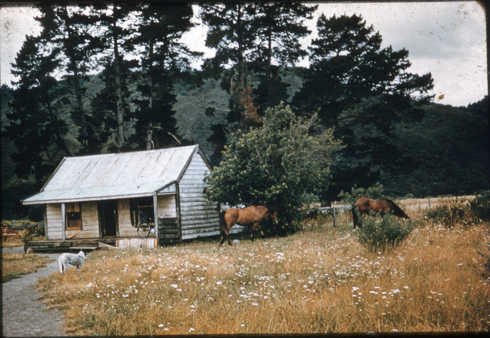 Unidentified Rural Home