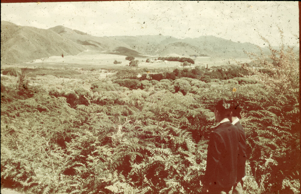 Distance View Te Whaiti Māori Boys Farm School