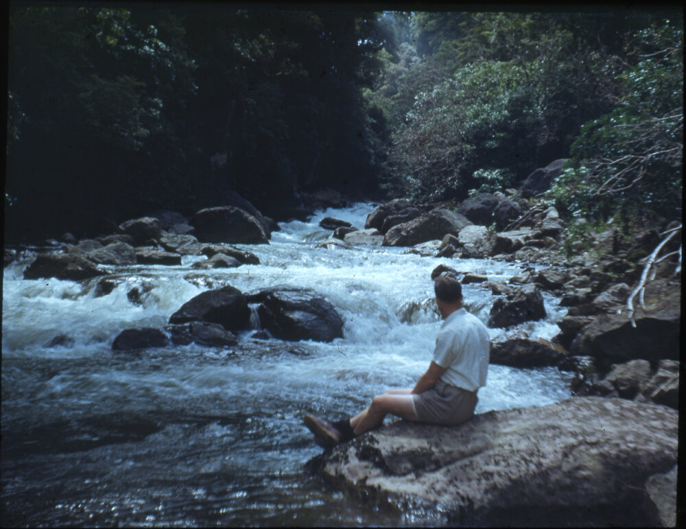 The Rapids at Te Urewera
