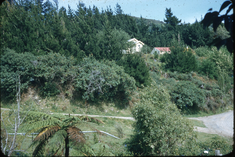 Waikaremoana Mission - Tuai
