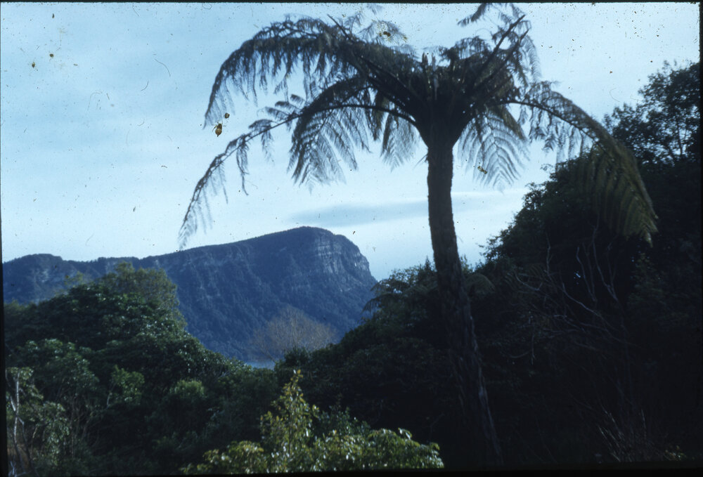 Panekiri Bluff on Lake Waikarimoana