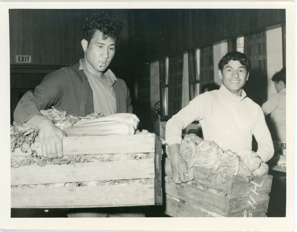Two Māori Young Men Carrying Produce