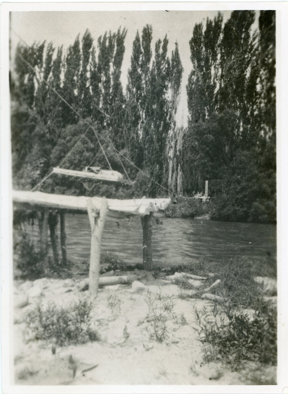 "The Flying Fox At Kopuriki"