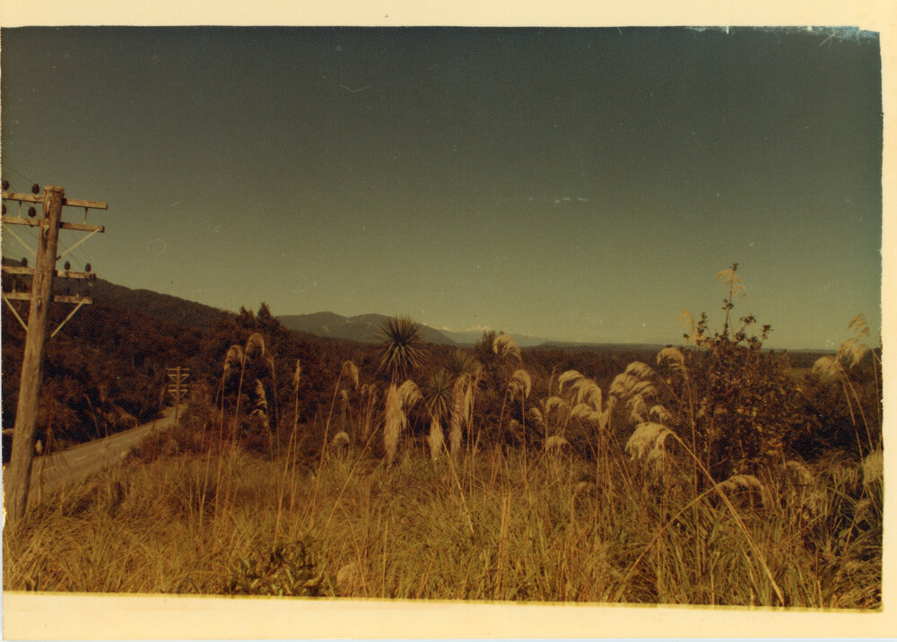 Unknown Scenic View