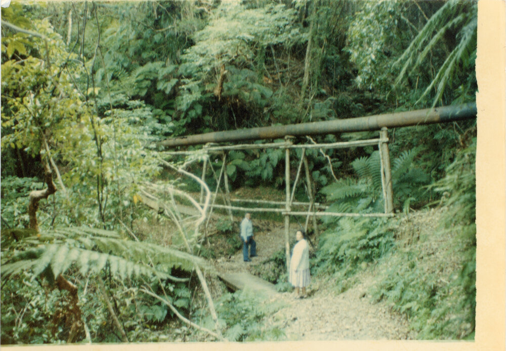 Two Along The Goldfields Walk