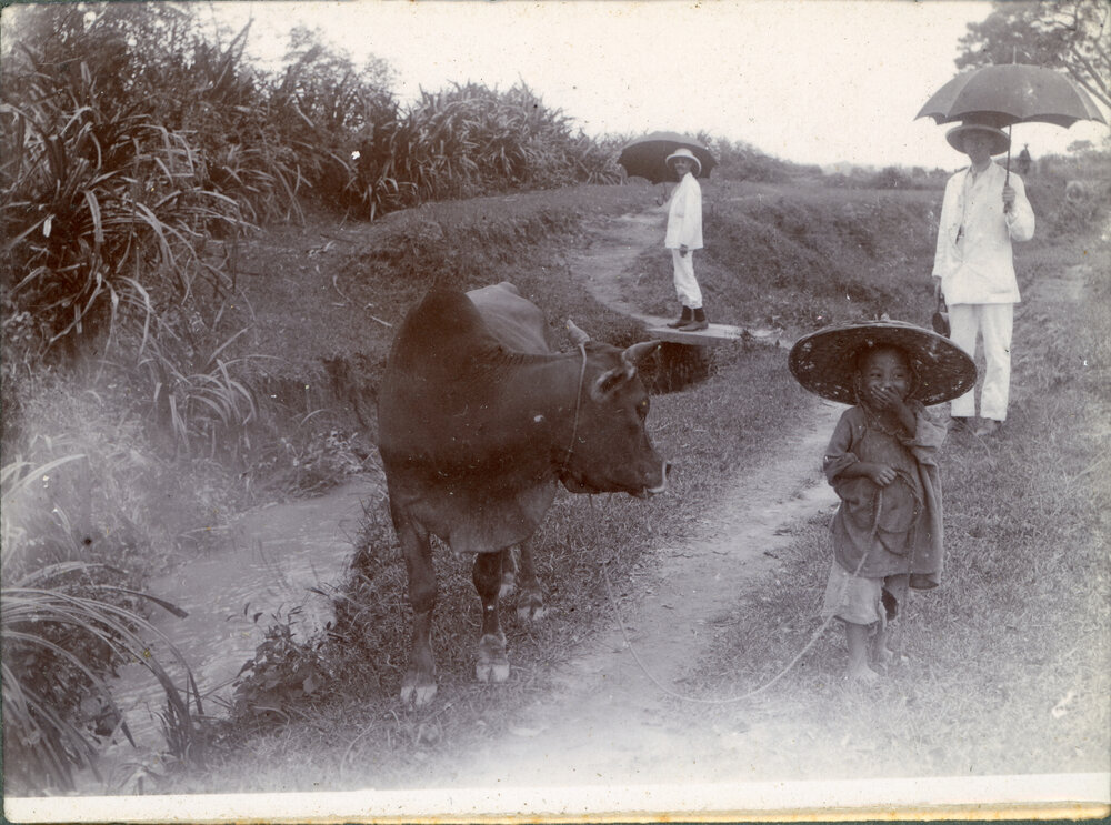 A Meeting on the Main Road of the District
