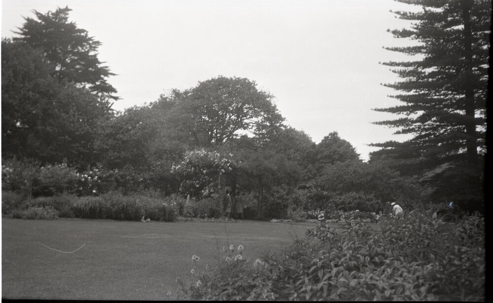 Large Unknown Garden and Park