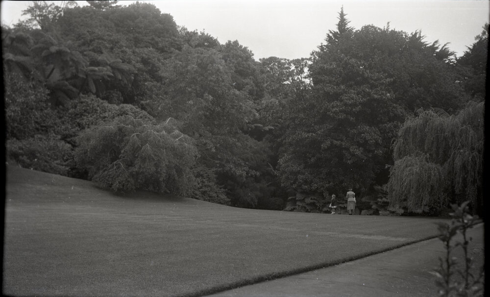 Unknown Park