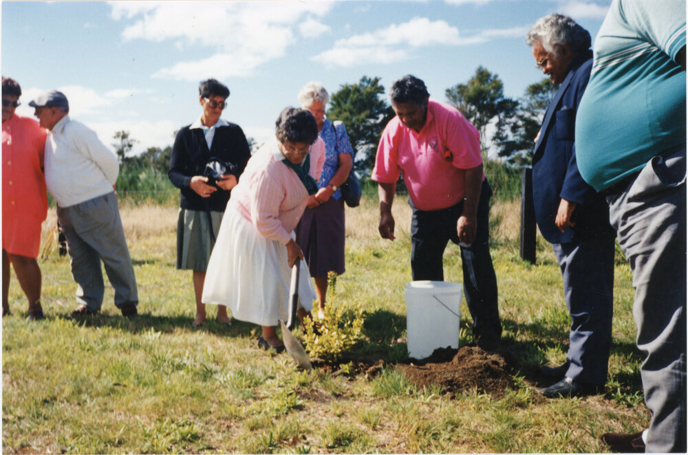 Planting A Tree
