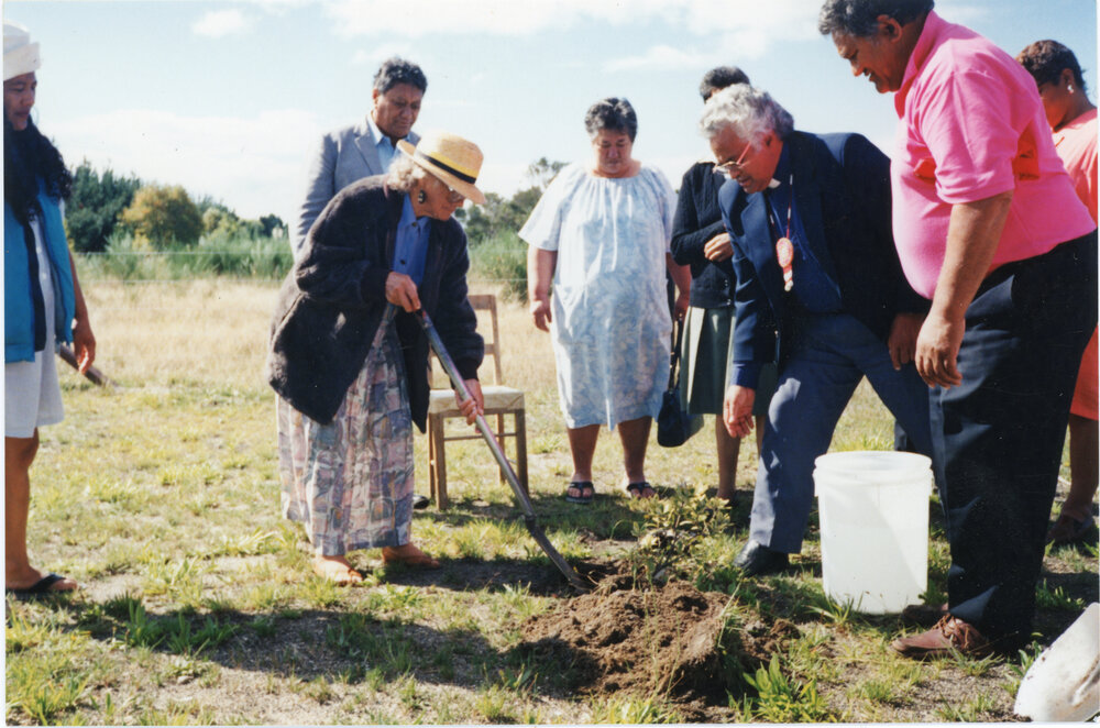 Tree Planting Event