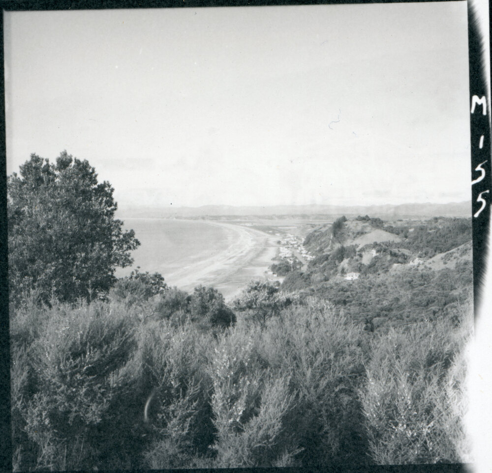 View of Ohope