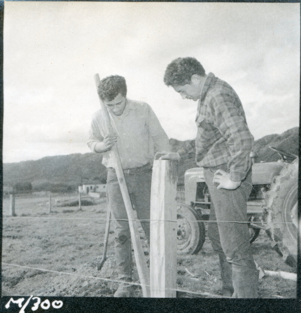 Te Whaiti Māori Boys Farm