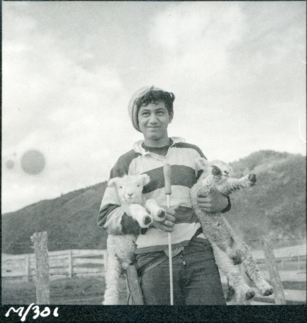 Te Whaiti Māori Boys Farm