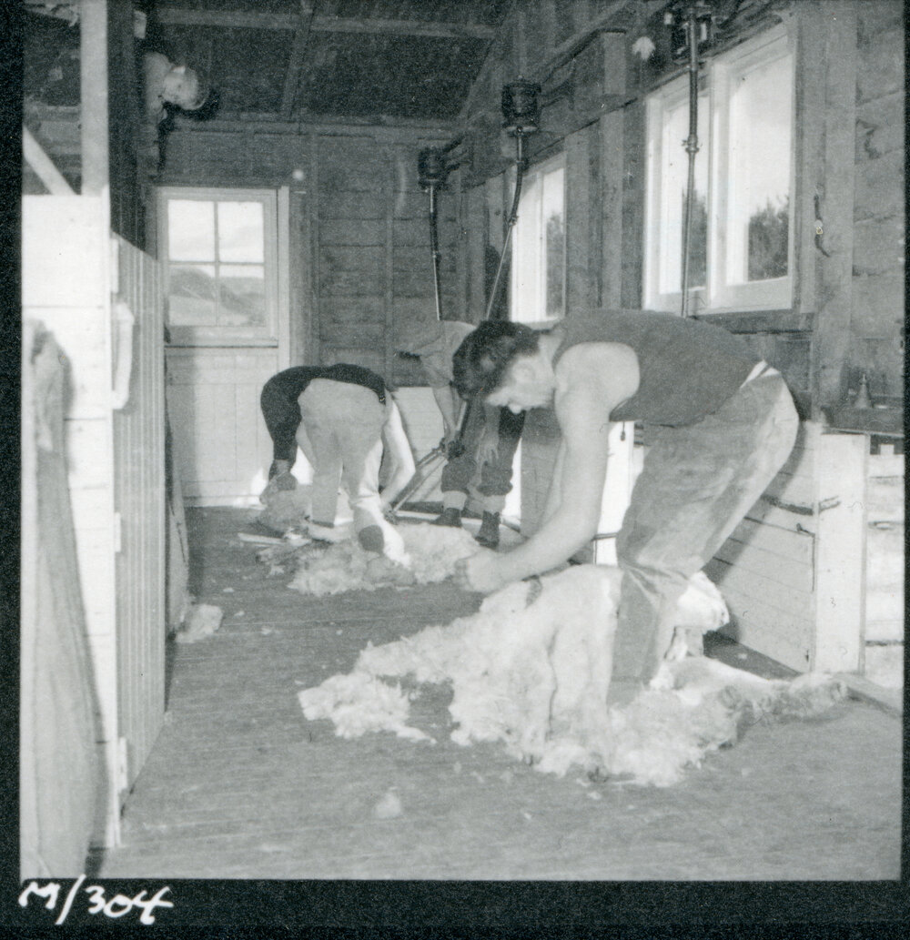 Te Whaiti Māori Boys Farm
