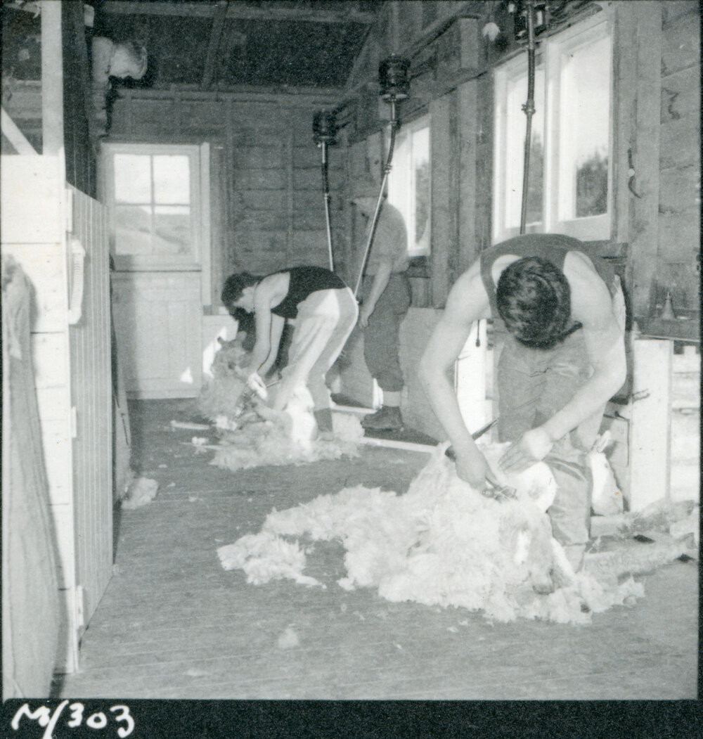 Te Whaiti Māori Boys Farm