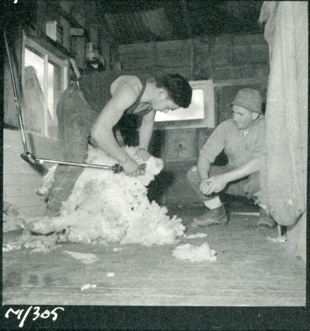 Te Whaiti Māori Boys Farm