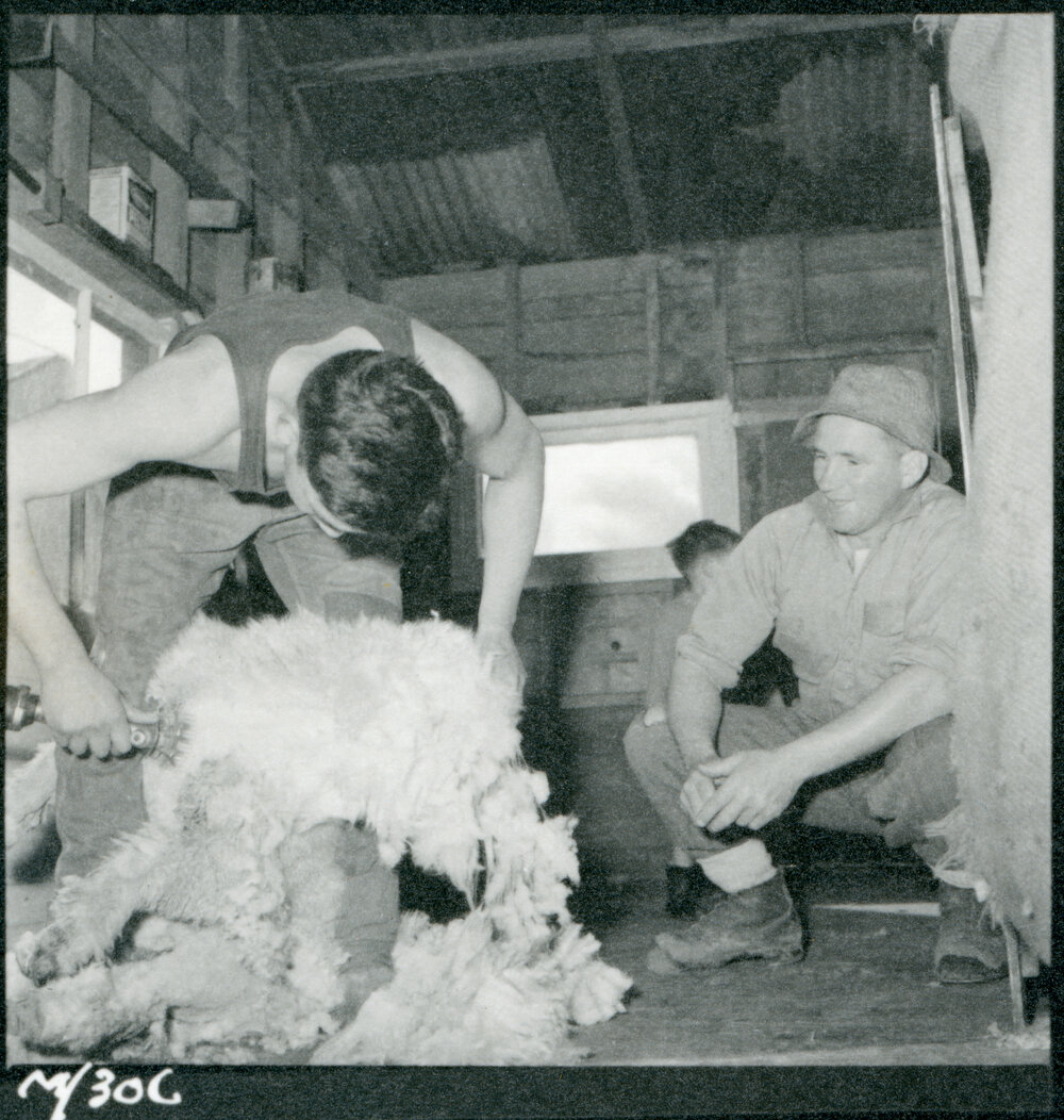 Te Whaiti Māori Boys Farm