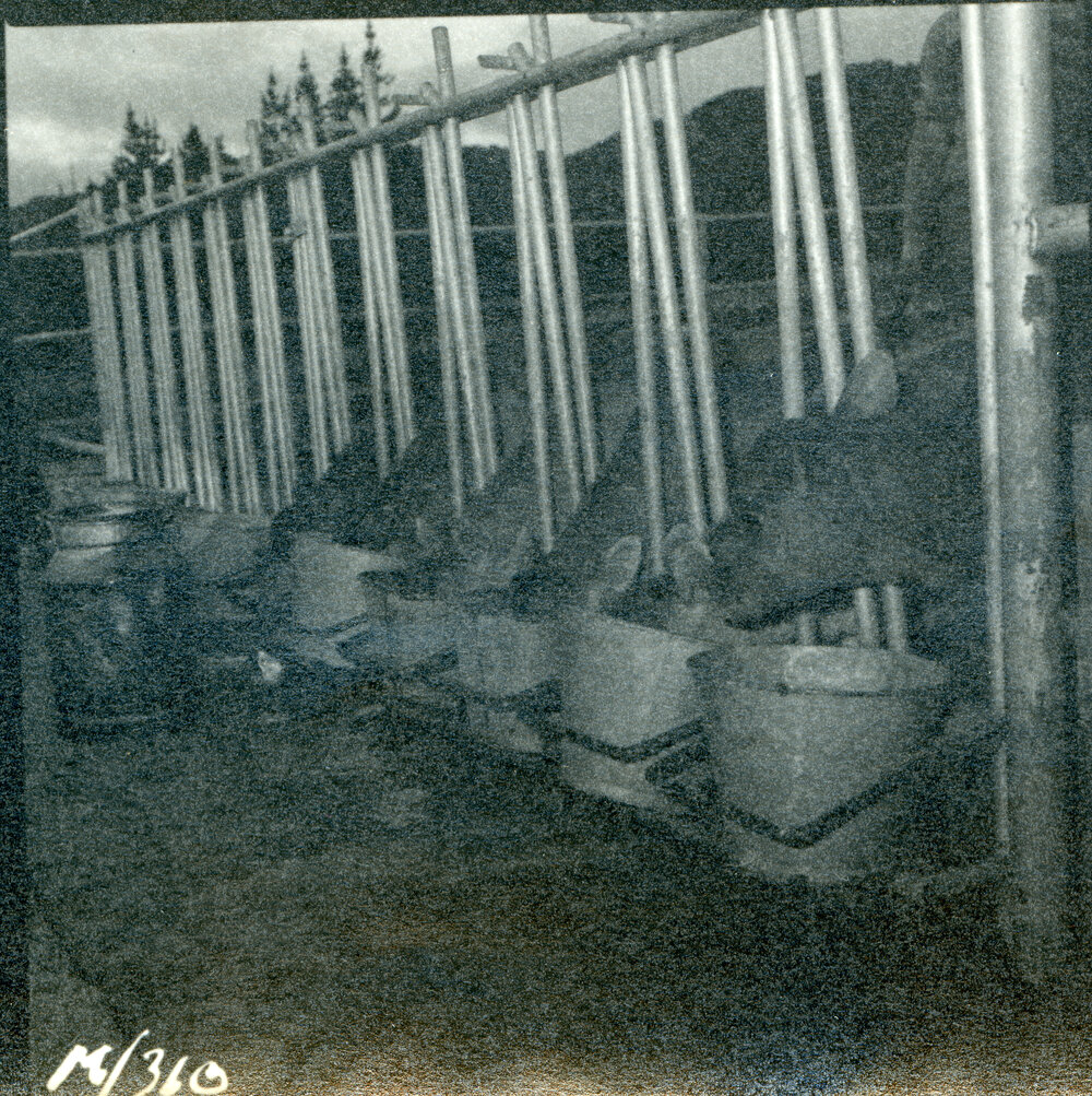Te Whaiti Māori Boys Farm