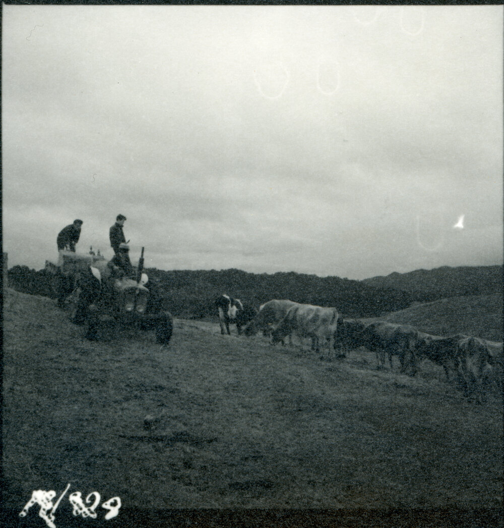 Te Whaiti Māori Boys Farm