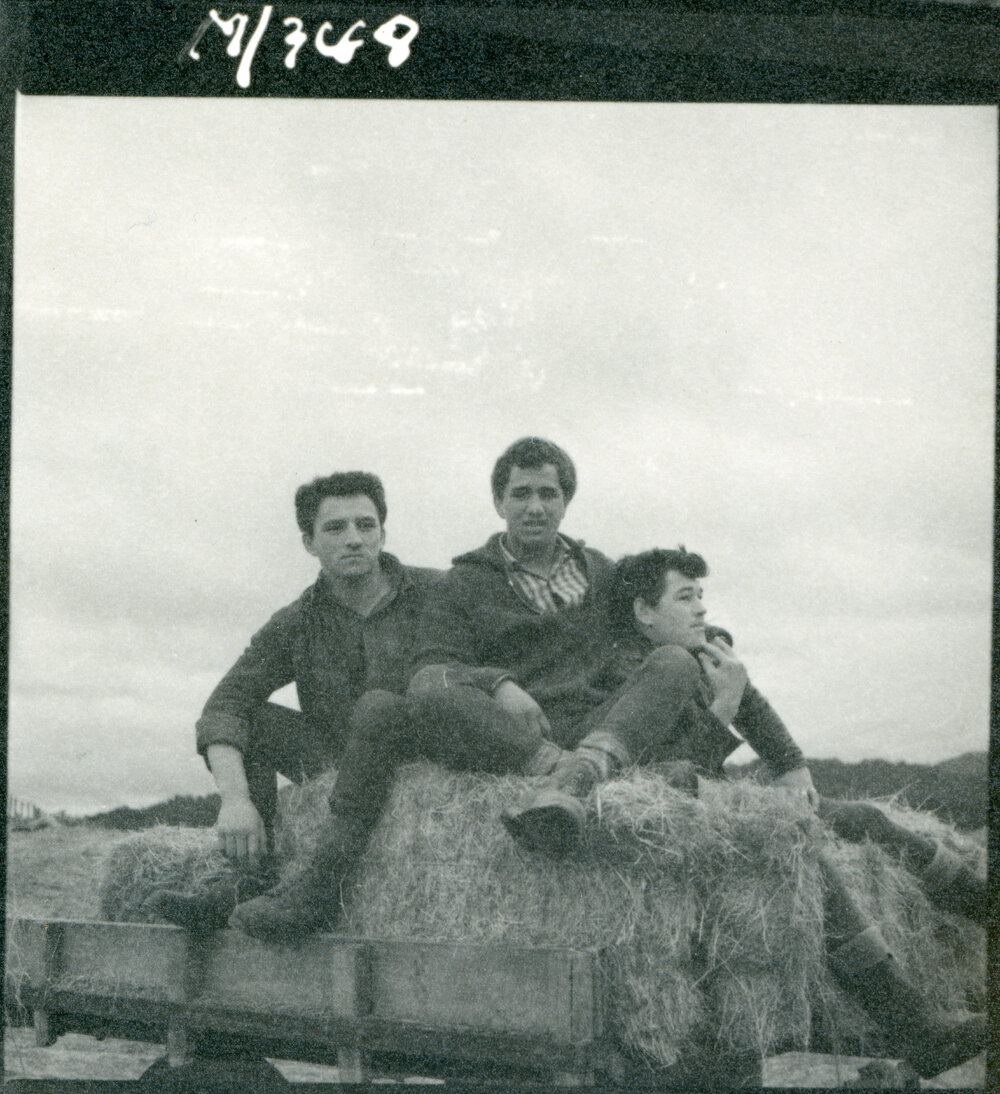 Te Whaiti Māori Boys Farm