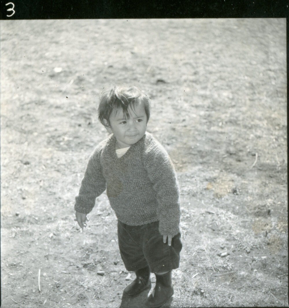 Māori Synod, 1972