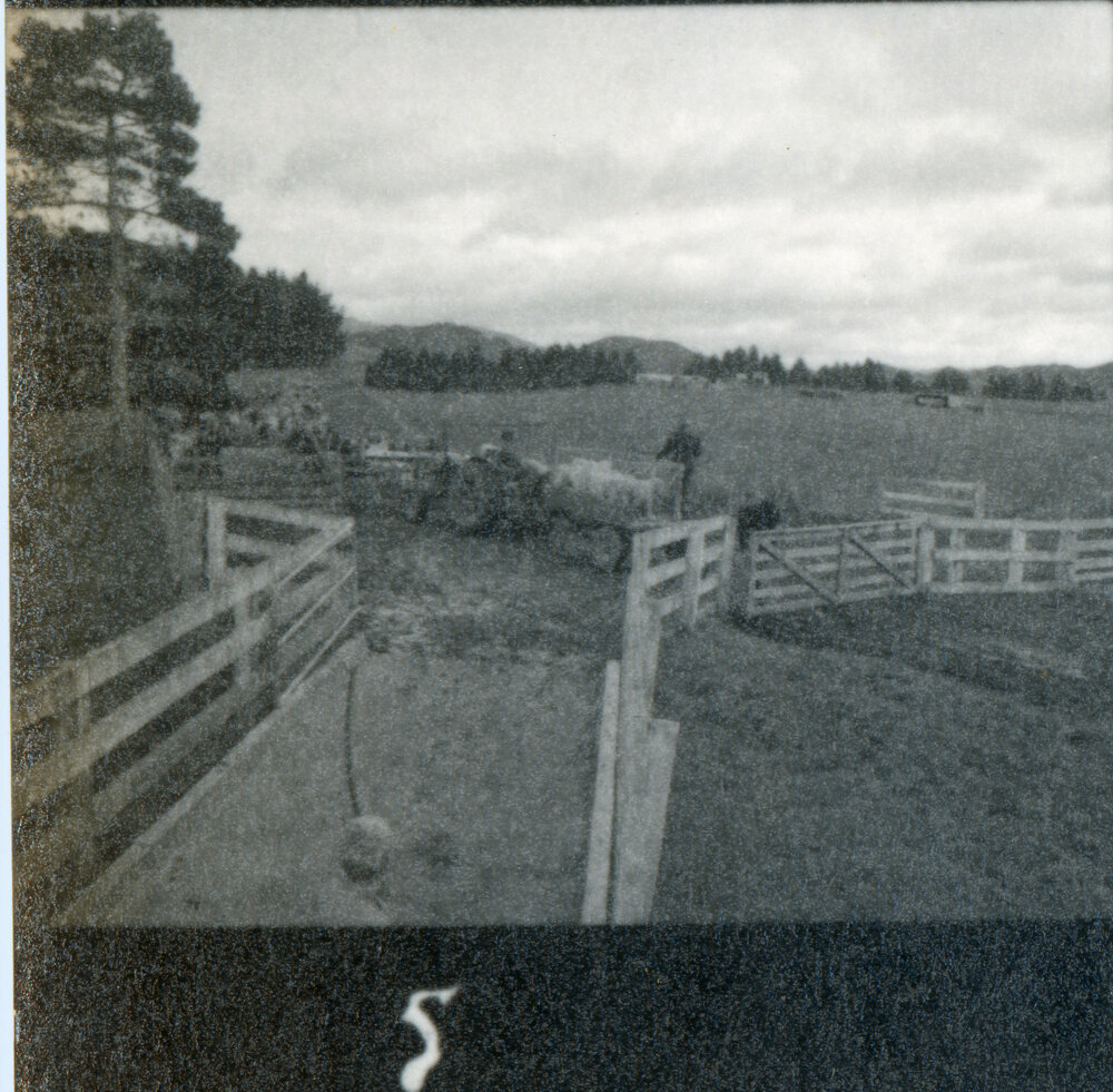 Te Whaiti Māori Boys Farm 