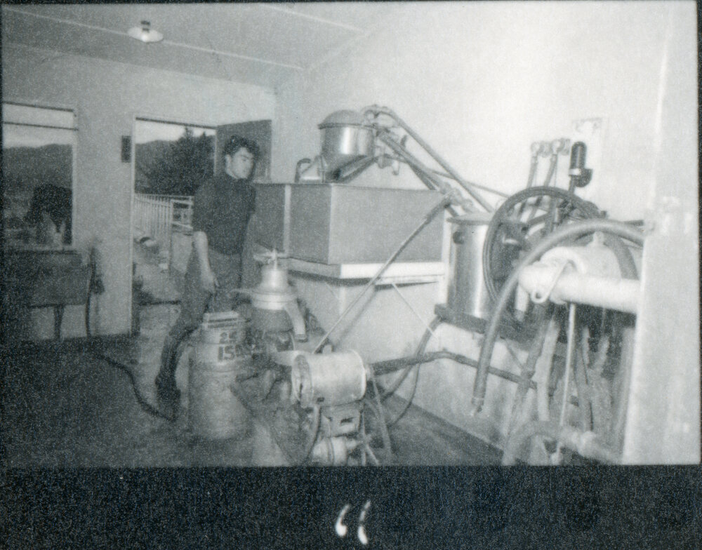 Te Whaiti Māori Boys Farm - Milking Equipment