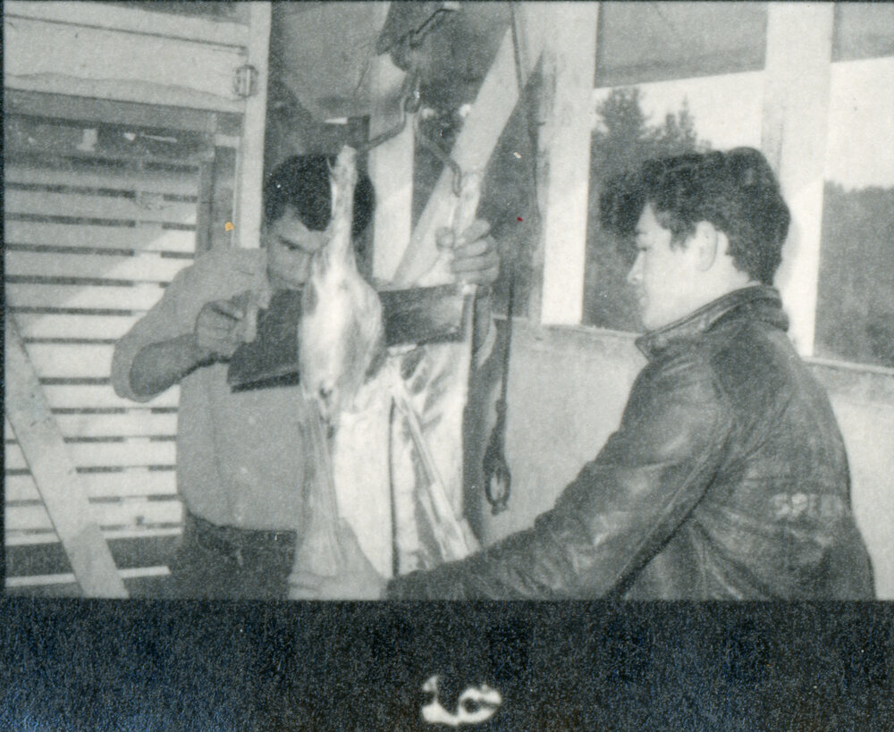 Te Whaiti Māori Boys Farm - Butchering