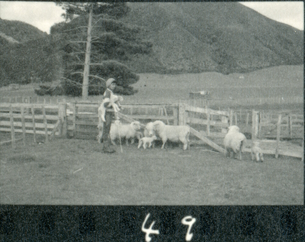 Te Whaiti Māori Boys Farm School