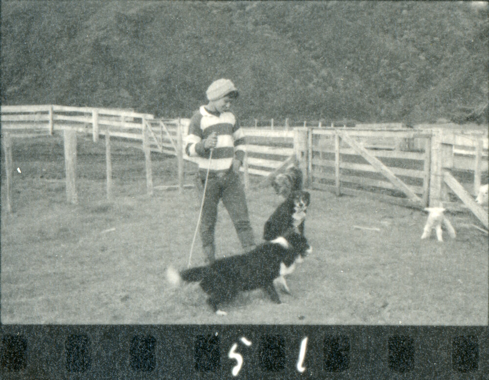 Te Whaiti Māori Boys Farm School