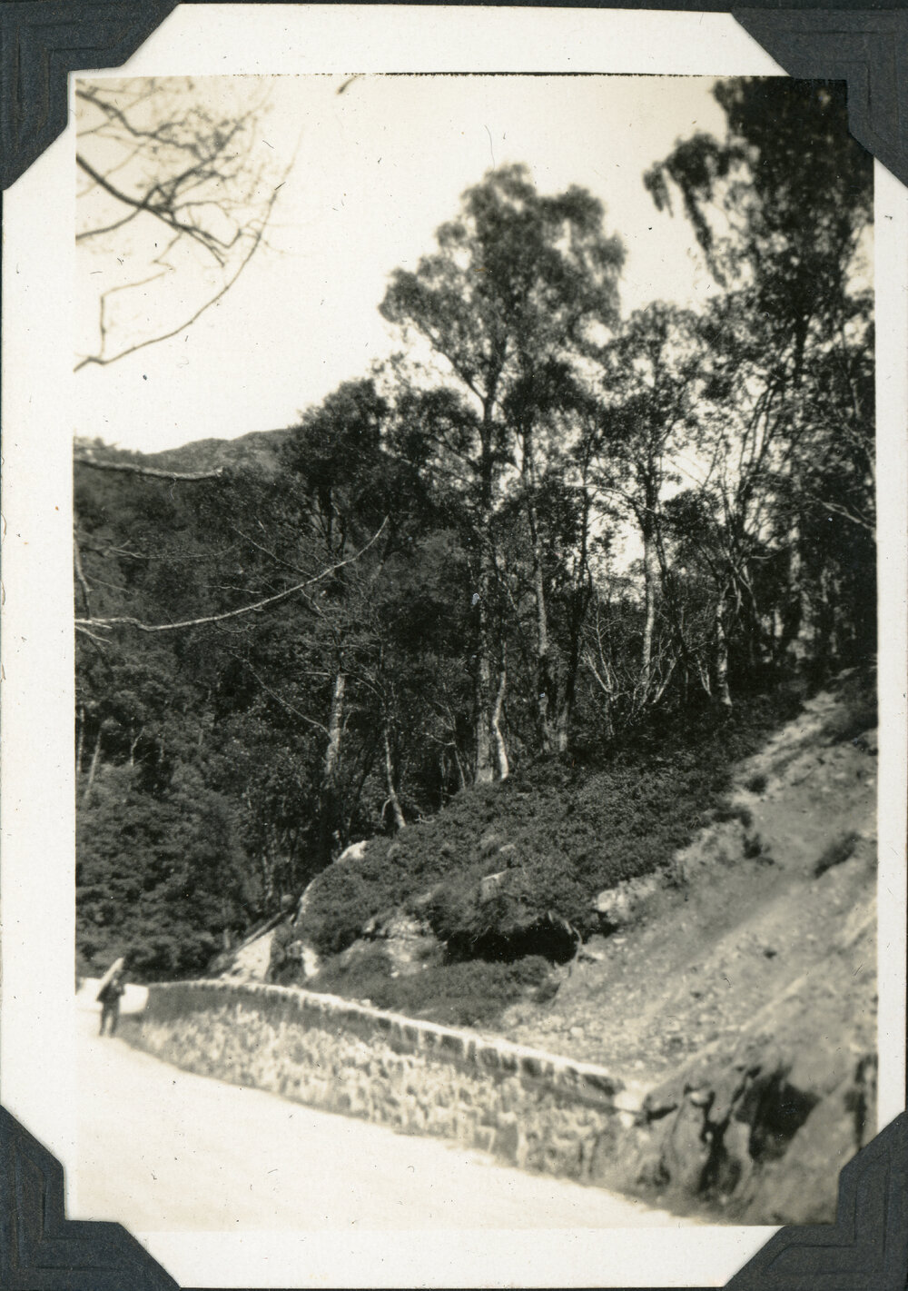 Road Along Side of Loch Katrine, Scotland