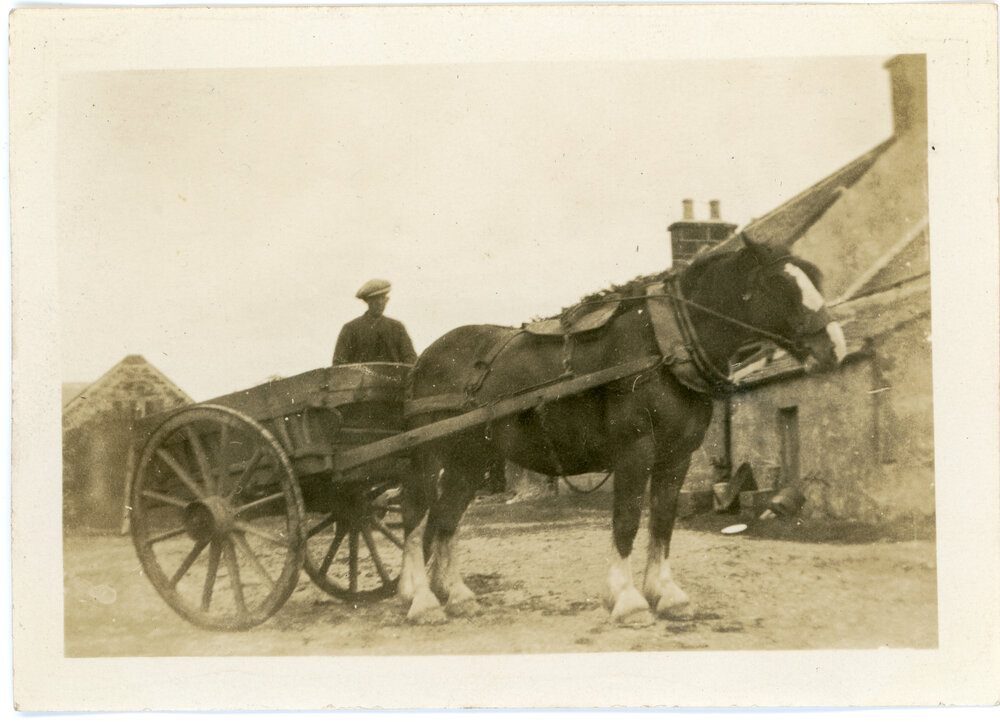 Horse and Cart, Scotland