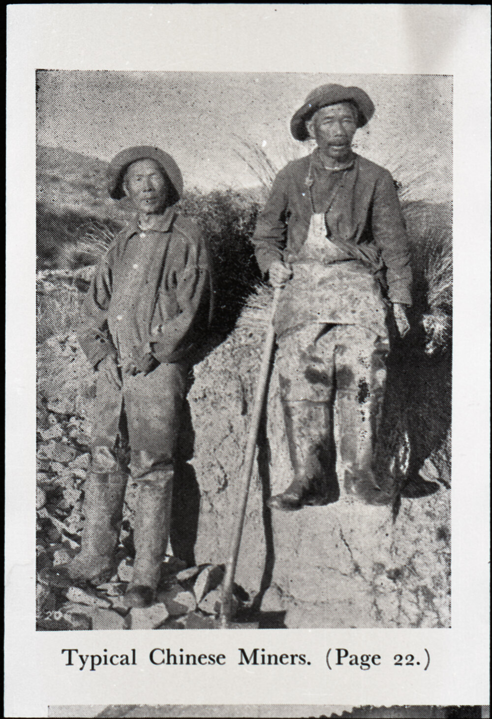 "Two Looi's of Main Gully, Naseby"