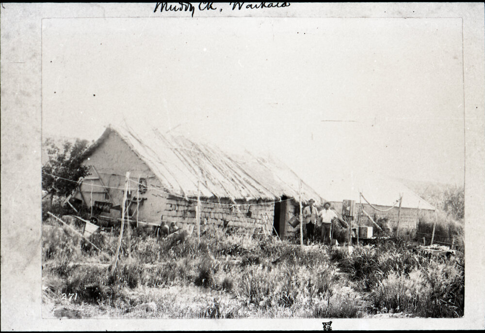 Muddy Creek, Waikaia