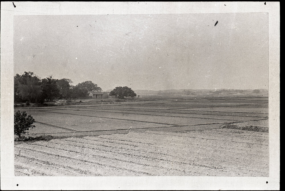 Canton Delta's Flat Agricultural Lands, China