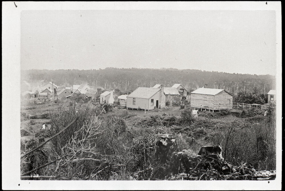 View of Canton Village, Round Hill (near Riverton/Aparima), New Zealand
