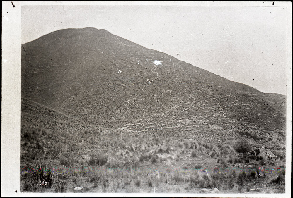 Hillside In Central Otago