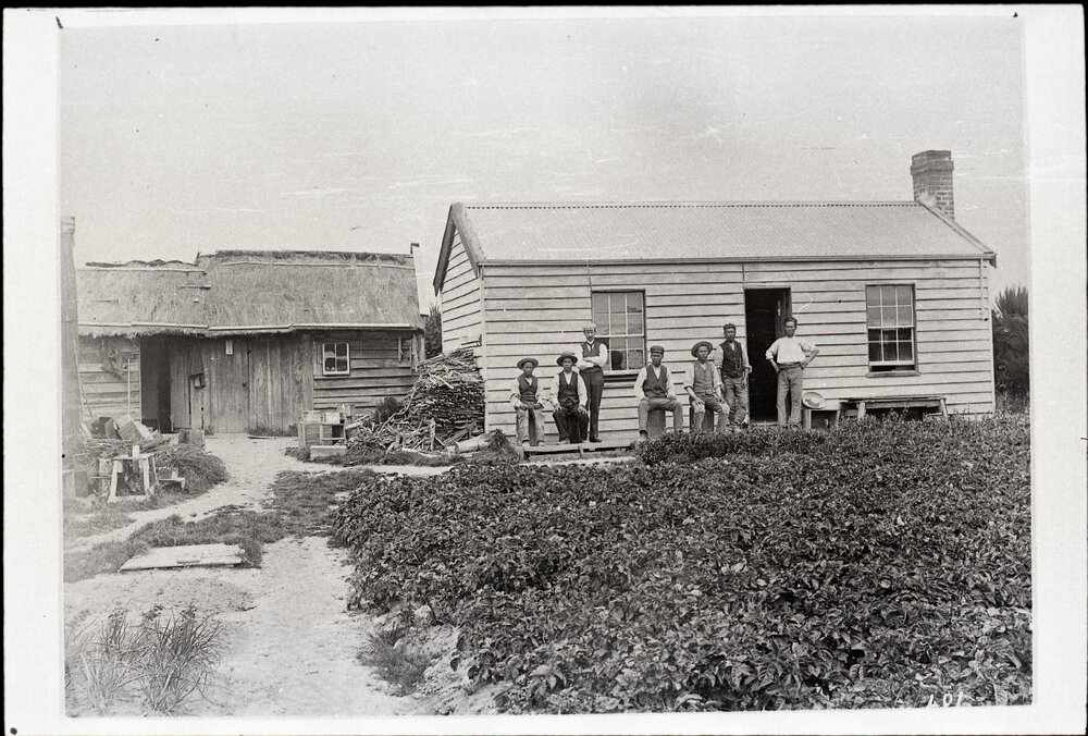 Market Garden In Bury St., Gore