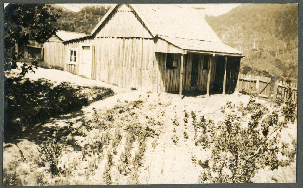 The Manse : Maungapohatu.