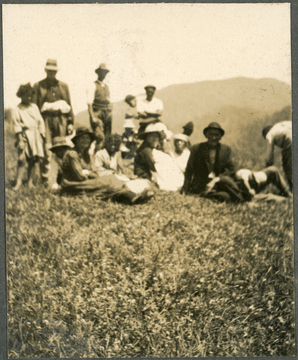 Unknown Group In A Field, Maungapohatu