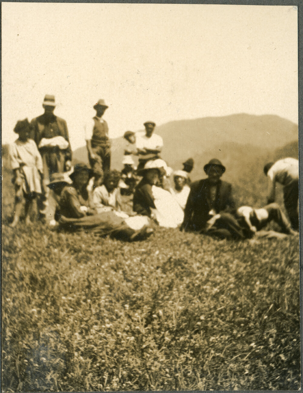 Unknown Group In A Field, Maungapohatu