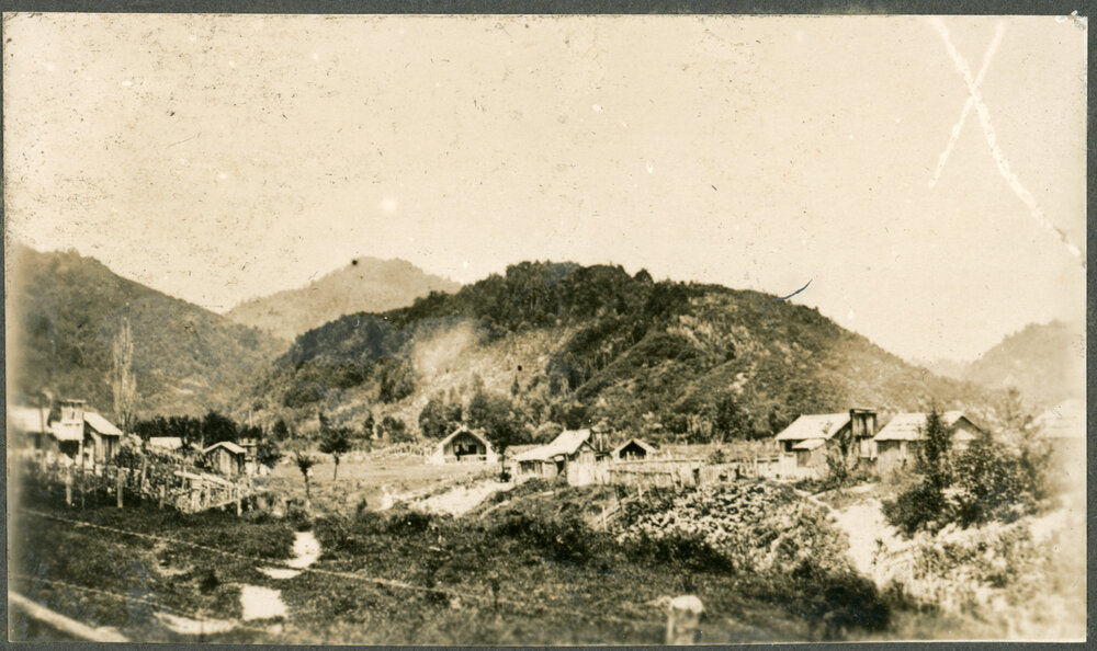 Ohawa pa - 8 Miles From Ruatahuna