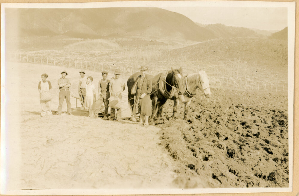Planting Potatoes