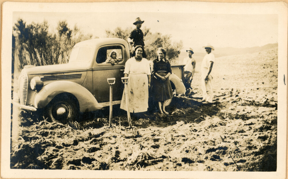 Lifting The Potatoes -  A Break