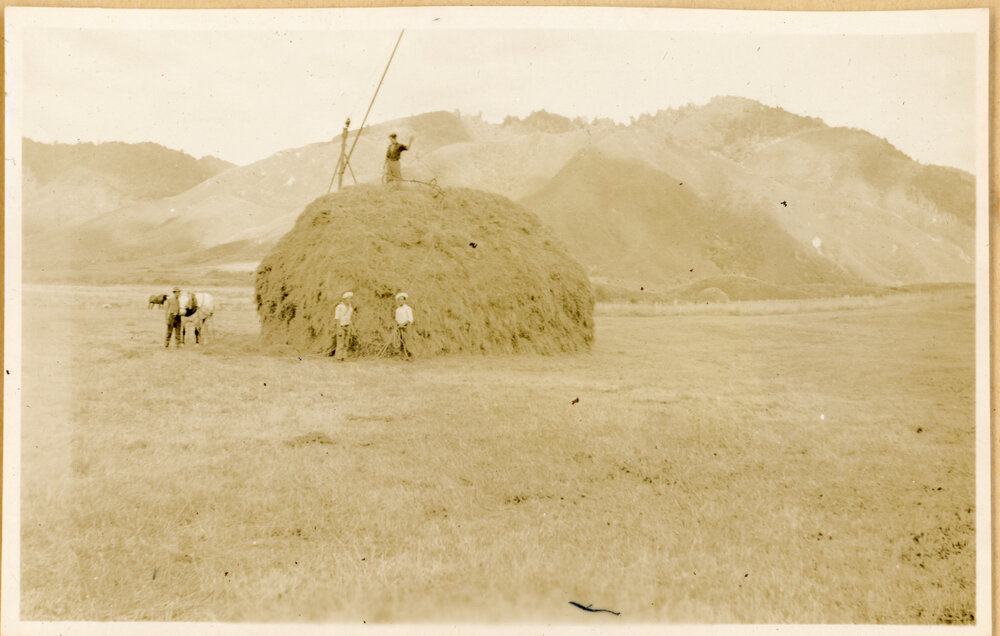 Stacking The Hay