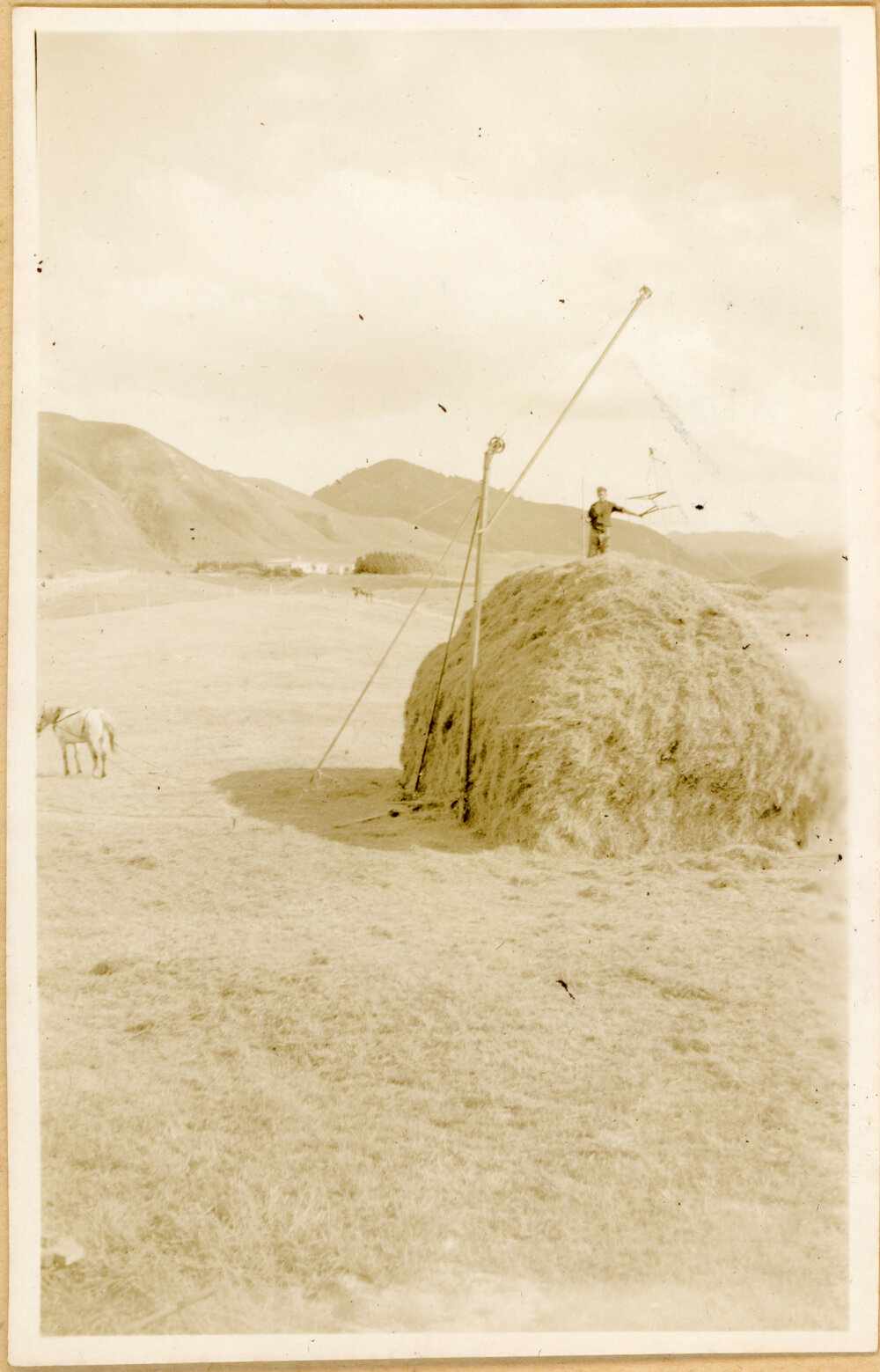 Stacking The Hay