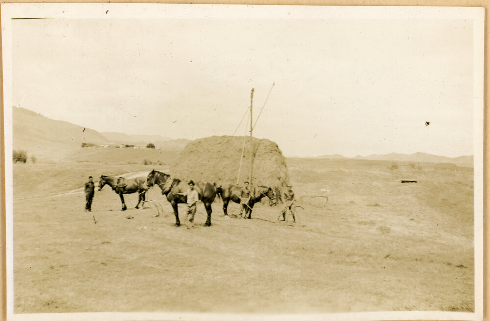 Stacking The Hay
